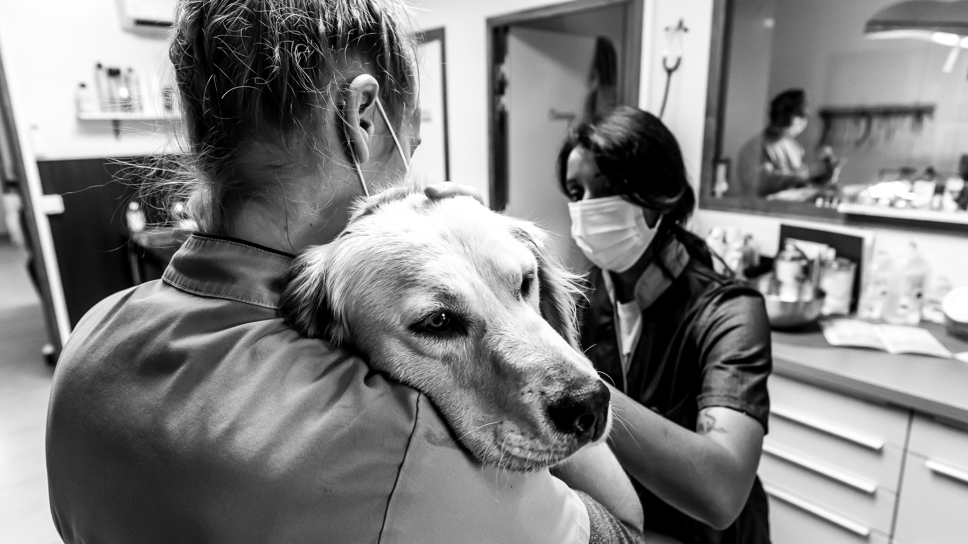 Art-Sensible-bienvenue-11