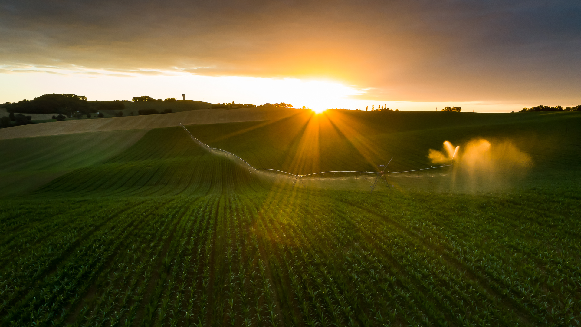 Art-Sensible-bienvenue-14