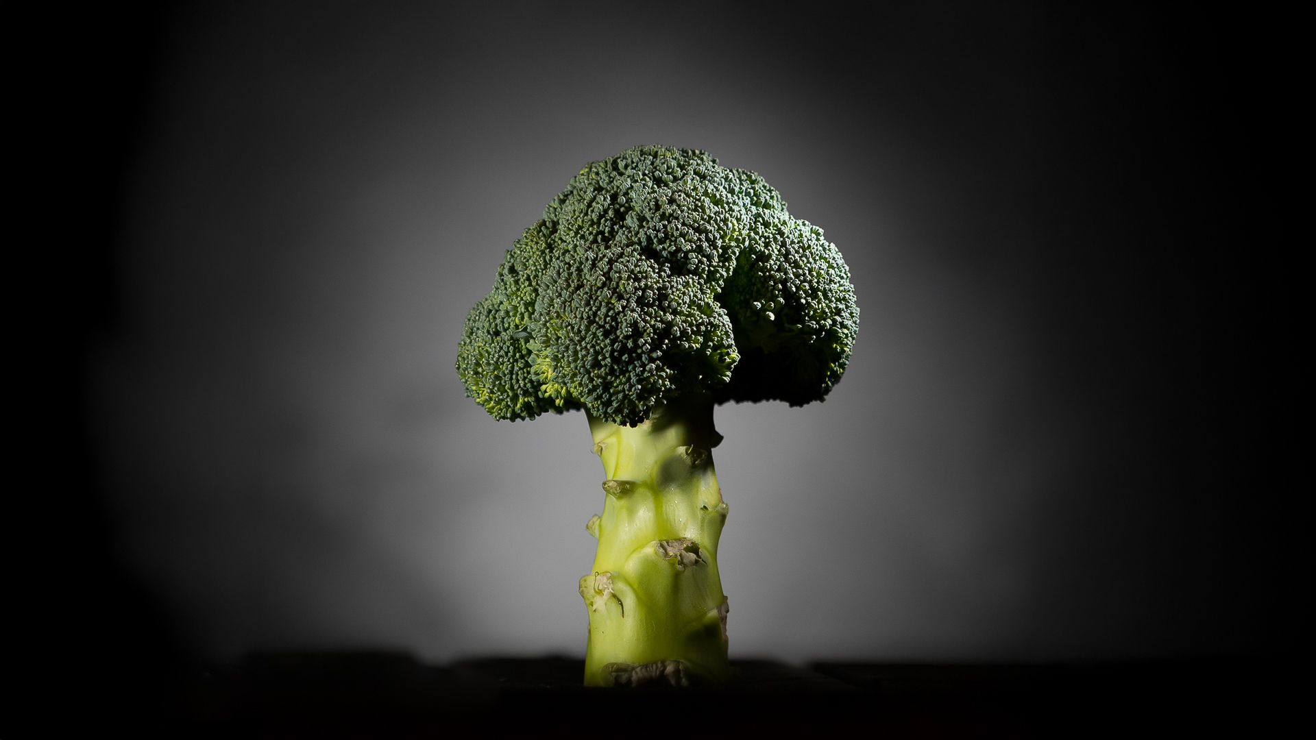 Art-Sensible-bienvenue-4