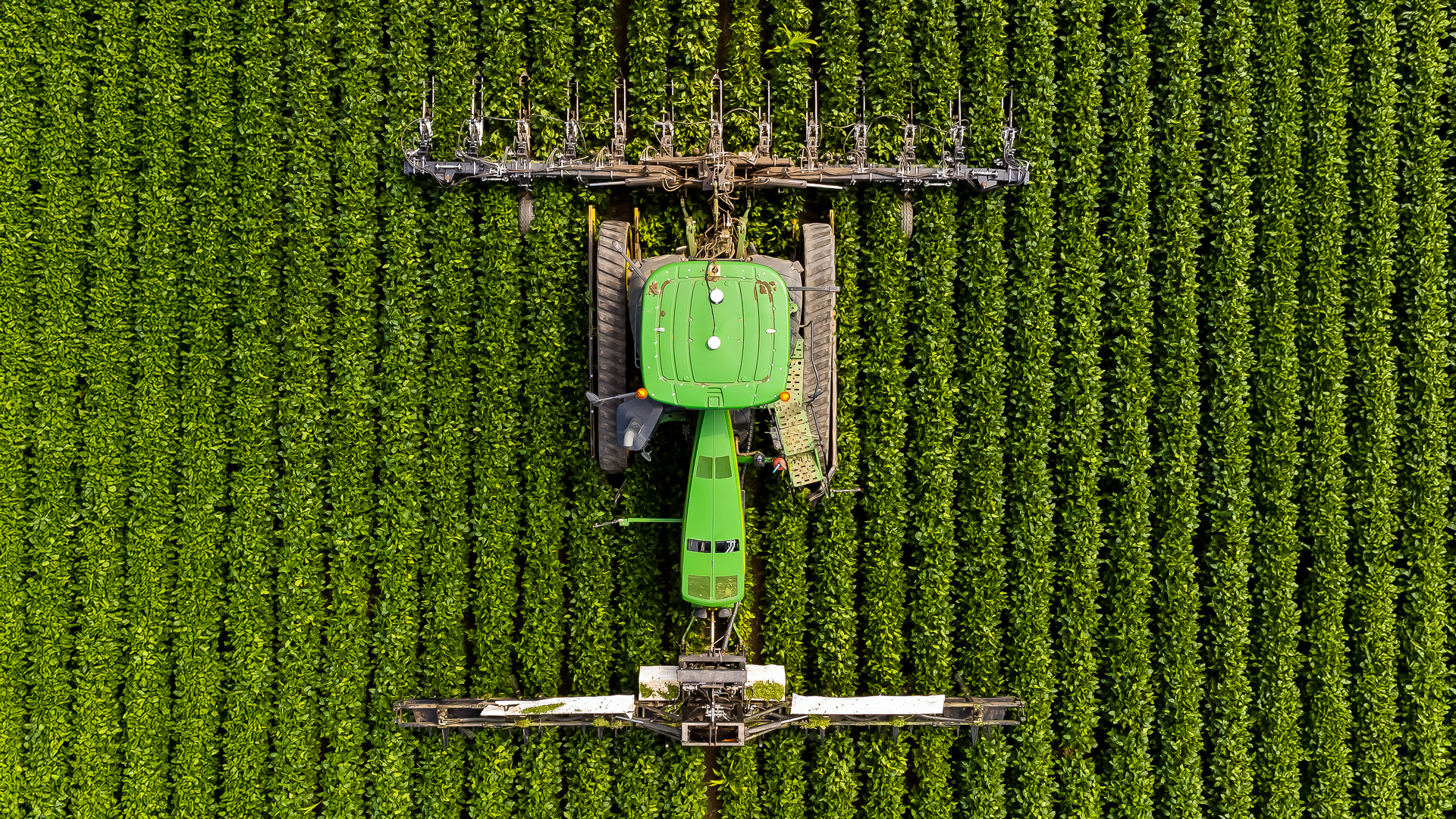 Art-Sensible-bienvenue-44