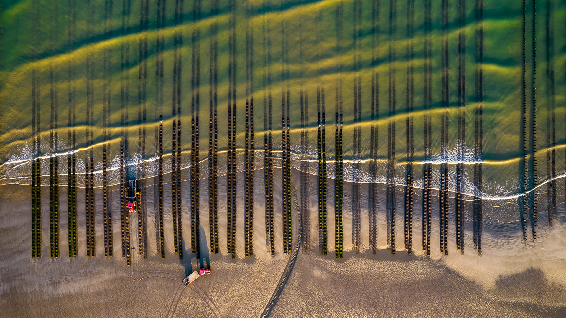 Art-Sensible-bienvenue-45