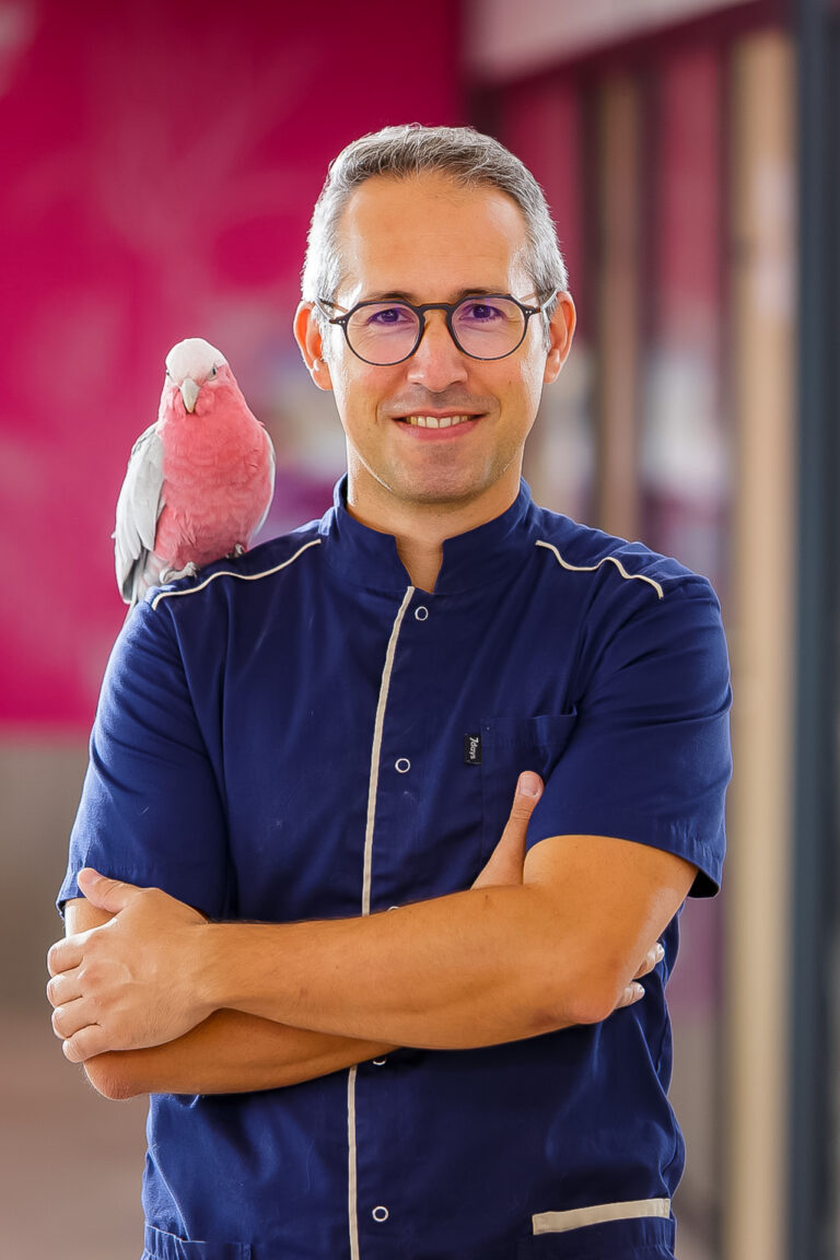 Art-Sensible-bienvenue-50