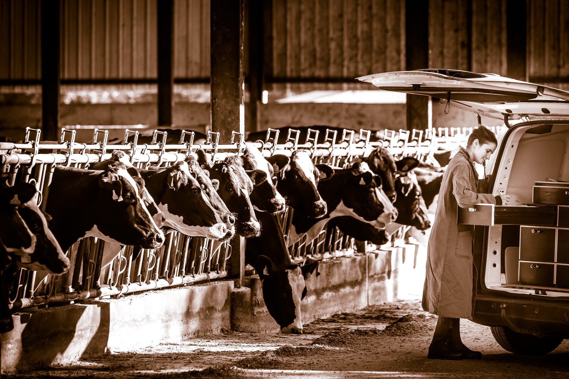 Art-Sensible-reportage-01