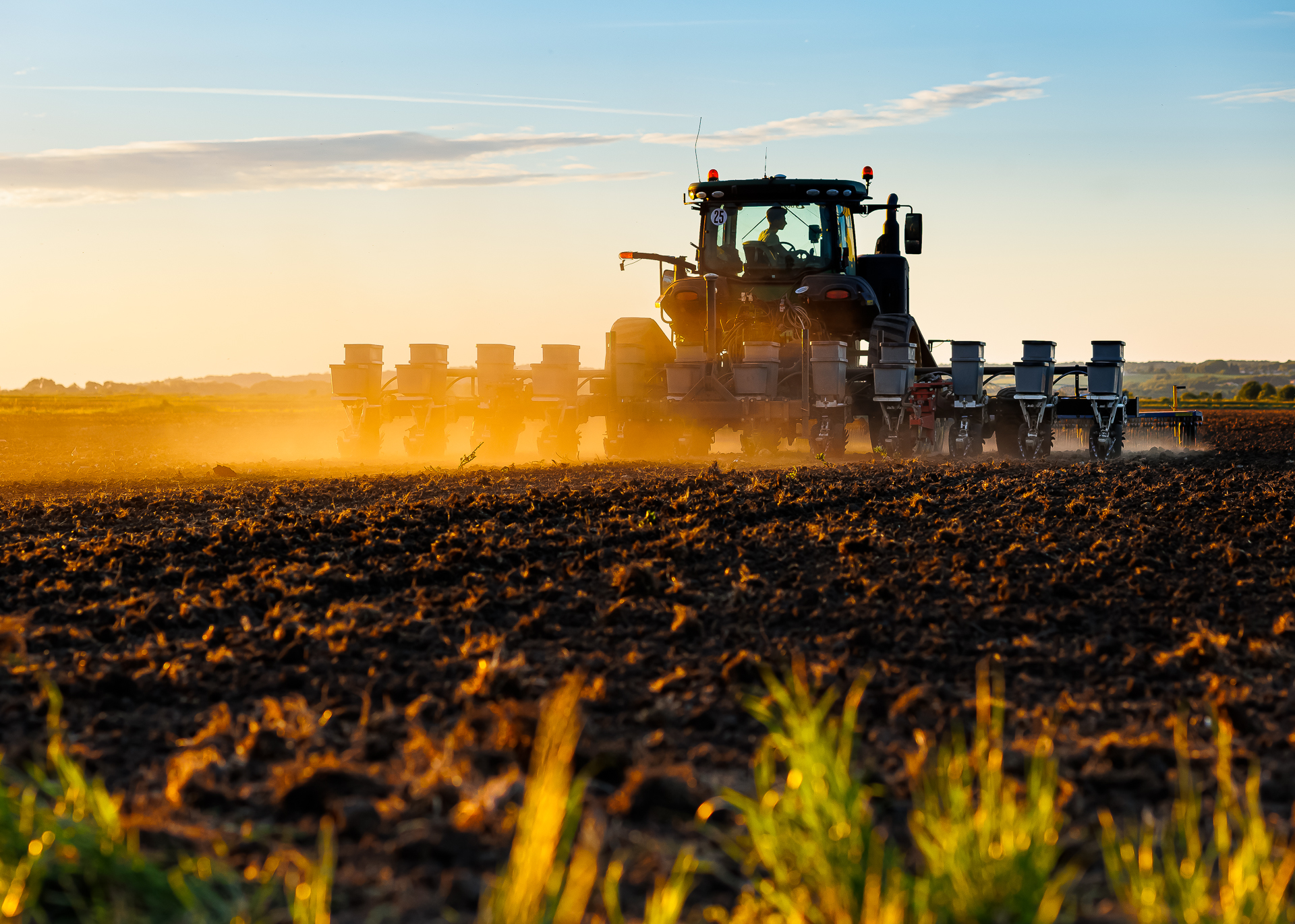 Art-Sensible-reportage-12