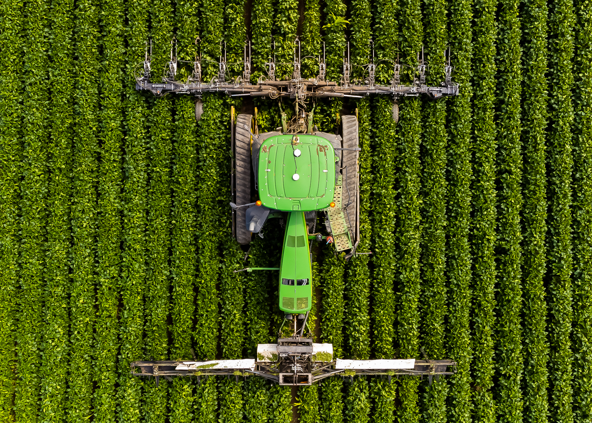 Art-Sensible-reportage-13