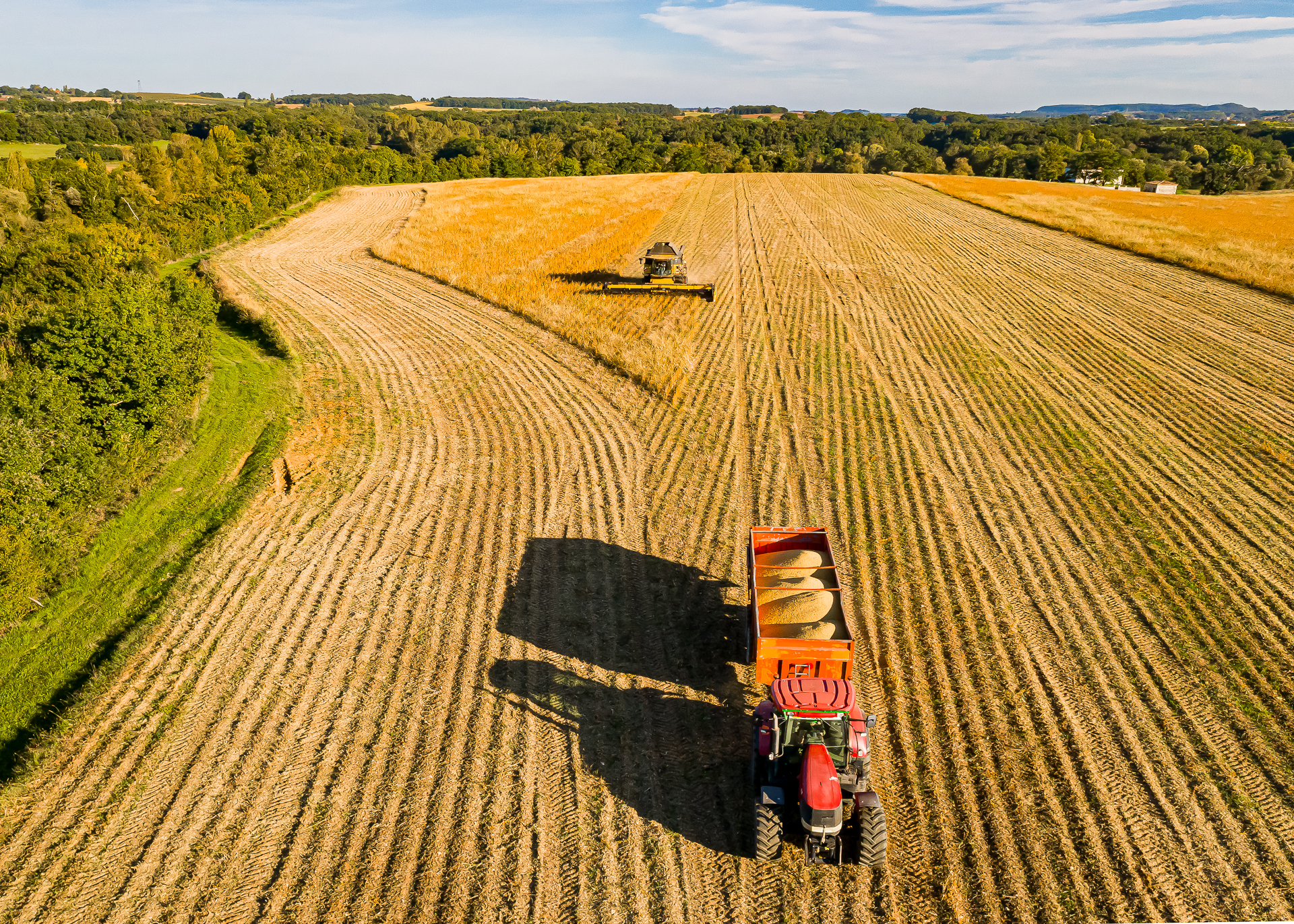 Art-Sensible-reportage-14