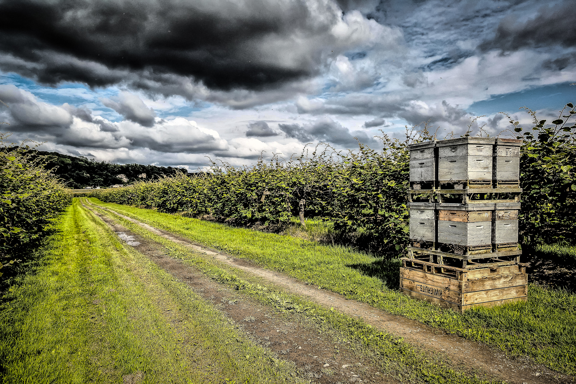 Art-Sensible-reportage-2